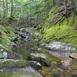Walker Brook - Woodstock New Hampshire