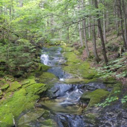 Mossy Glen - Randolph New Hampshire