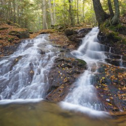 Tecumseh Brook  - Waterville Valley New Hampshire