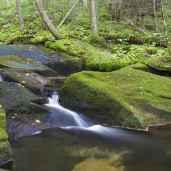 Scarface Brook - Bethlehem New Hampshire