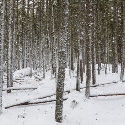 Crawfords Purchase New Hampshire