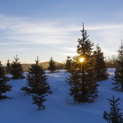 The Rocks Estate - Bethlehem New Hampshire