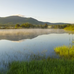 Airport Marsh - Whitefield New Hampshire