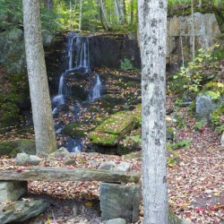 Rollo Fall - Randolph New Hampshire