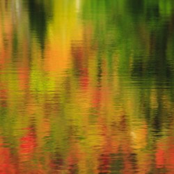 Wildlife Pond - Bethlehem  New Hampshire 