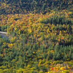 Boulder Loop Trail - White Mountains New Hampshire