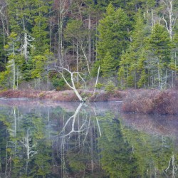 Upper Hall Ponds - Sandwich New Hampshire