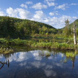 Zealand Pond - White Mountains New Hampshire