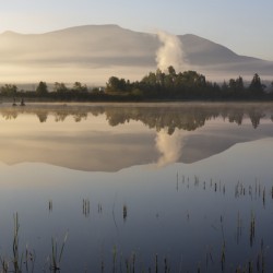 Airport Marsh  - Whitefield New Hampshire