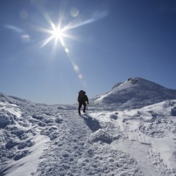 Appalachian Trail - White mountains New Hampshire