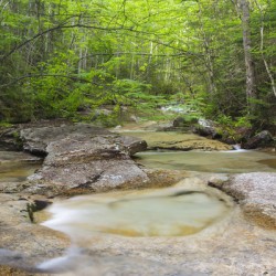 Crystal Brook - Pemigewasset Wilderness New Hampshire