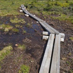 Mount Success - Success New Hampshire