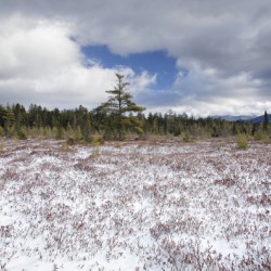 Church Pond - White Mountain National Forest 