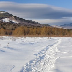 Downes - Oliverian Brook Ski Trail - White Mountains New Hampshire