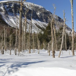 Pemi Trail - Franconia Notch White Mountains