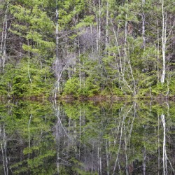 Kancamagus Highway - White Mountains New Hampshire