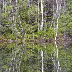 Kancamagus Highway - White Mountains New Hampshire