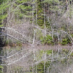 Kancamagus Highway - White Mountains New Hampshire