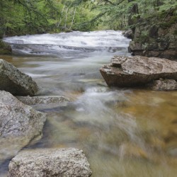 Bartlett Experimental Forest - Bartlett New Hampshire