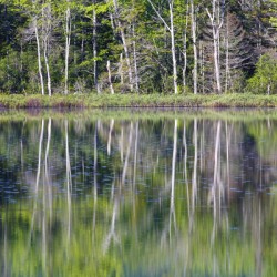 Elbow Pond - North Woodstock New Hampshire