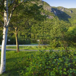 Eagle Cliff - Franconia Notch State Park New Hampshire