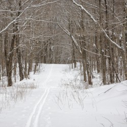 Lafayette Ski Trails - Franconia New Hampshire
