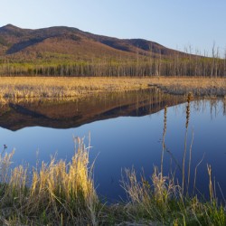 Pondicherry Wildlife Refuge - Jefferson New Hampshire