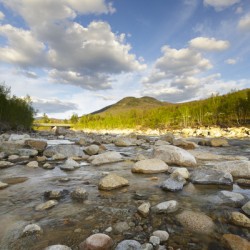 Black Mountain - Lincoln New Hampshire