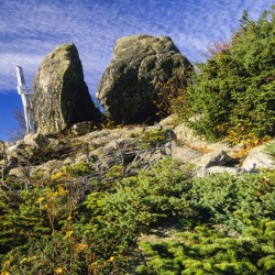 Boott Spur Trail - Mount Washington New Hampshire 