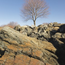 Great Island Common - New Castle New Hampshire