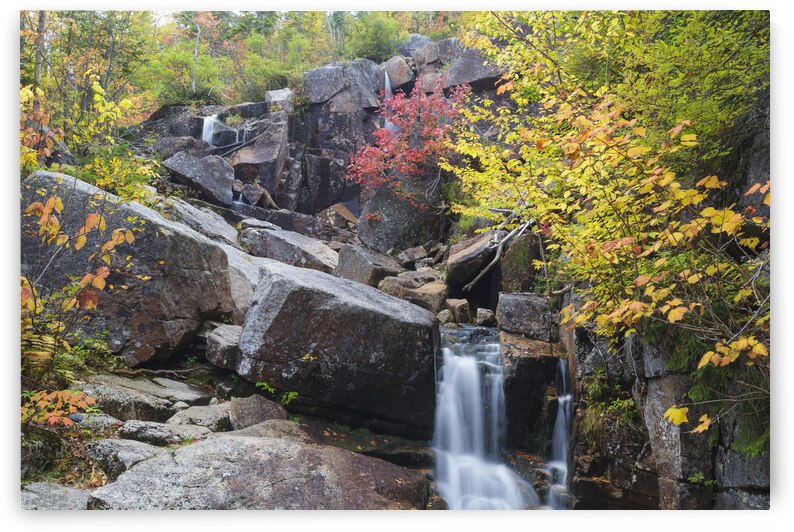 Zealand Falls - Bethlehem New Hampshire by ScenicNH Photography