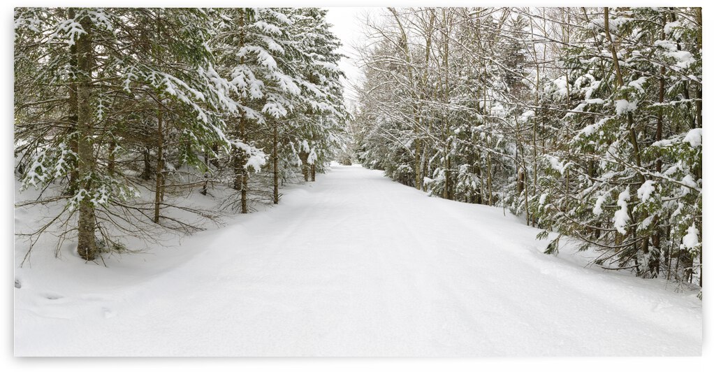 Franconia Bike Path - Franconia Notch New Hampshire by ScenicNH Photography