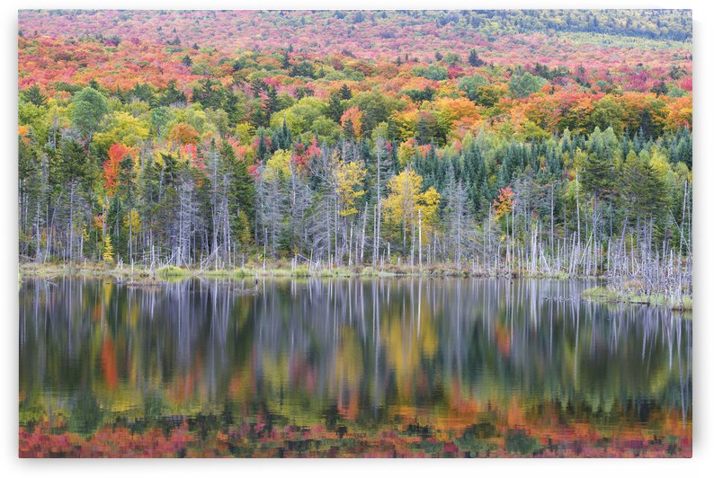 Old Cherry Mountain Road - Carroll New Hampshire by ScenicNH Photography