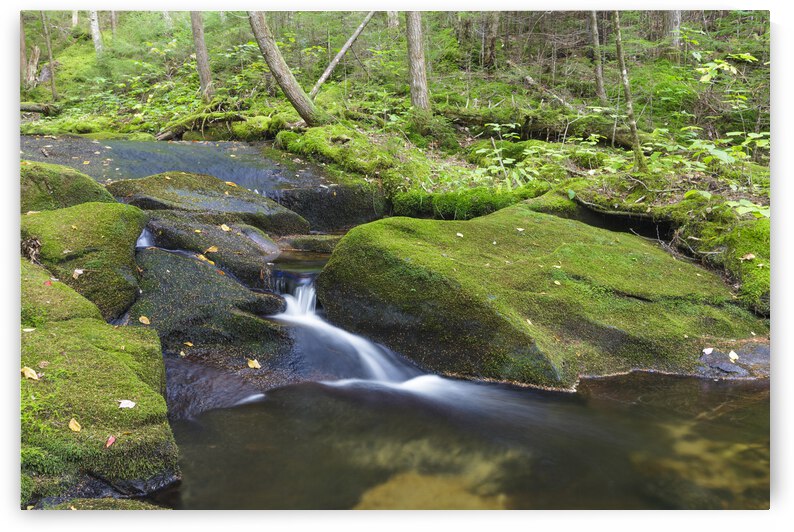 Scarface Brook - Bethlehem New Hampshire by ScenicNH Photography