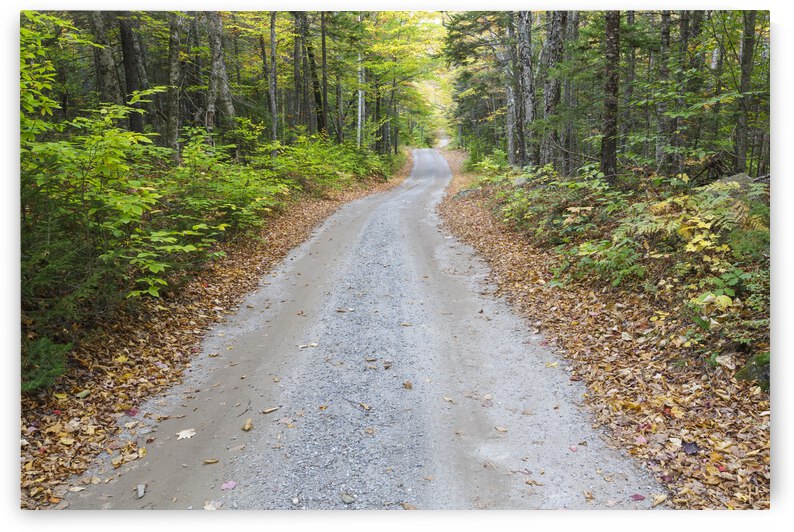 Sandwich Notch Road - Sandwich New Hampshire by ScenicNH Photography