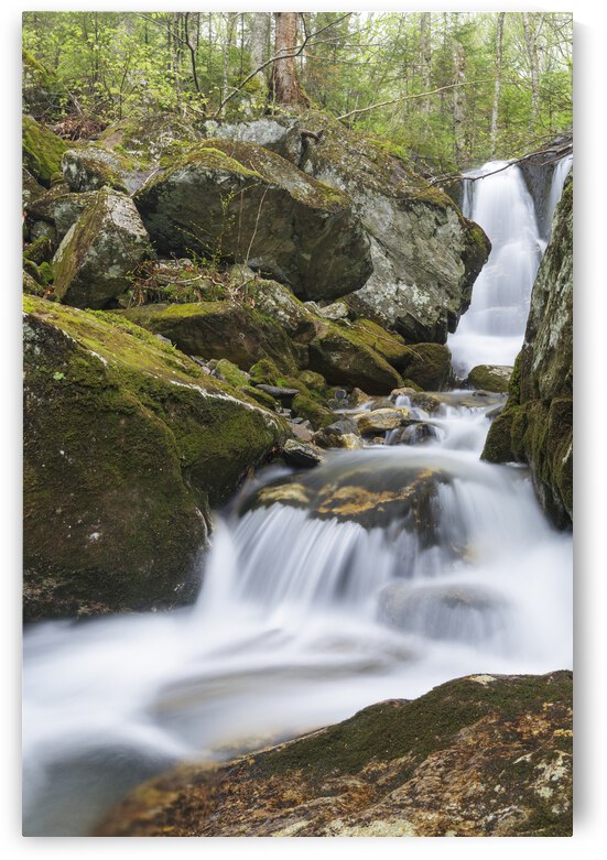 Stark Falls Brook - Kinsman Notch New Hampshire  by ScenicNH Photography