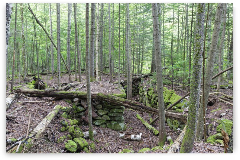 Breezy Point - Warren New Hampshire by ScenicNH Photography