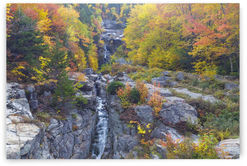 Silver Cascade - Crawford Notch New Hampshire  by ScenicNH Photography