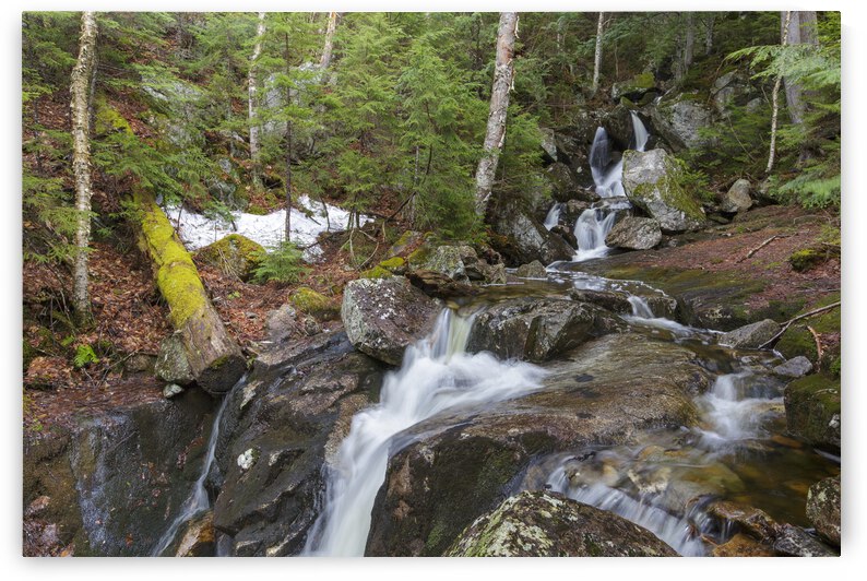 Elephant Head Brook - Carroll New Hampshire  by ScenicNH Photography