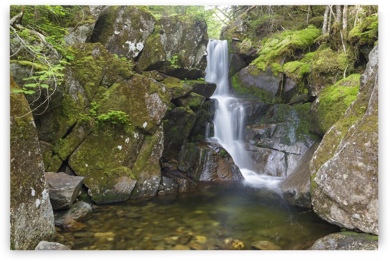 Duck Fall - Low and Burbanks Grant New Hampshire  by ScenicNH Photography