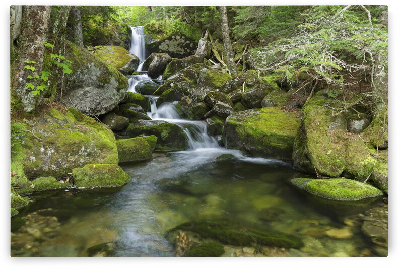 Cold Brook - Low and Burbanks Grant New Hampshire by ScenicNH Photography