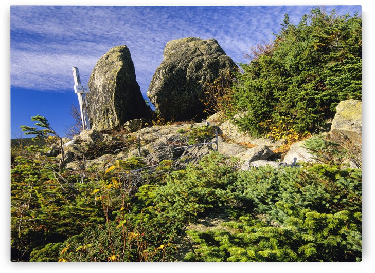 Boott Spur Trail - Mount Washington New Hampshire  by ScenicNH Photography