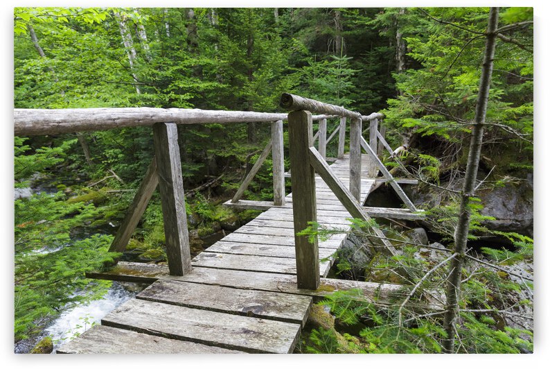 Randolph Path - Low and Burbanks Grant New Hampshire by ScenicNH Photography