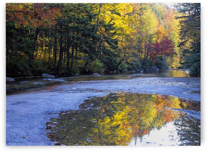 Swift River - White Mountains New Hampshire by ScenicNH Photography