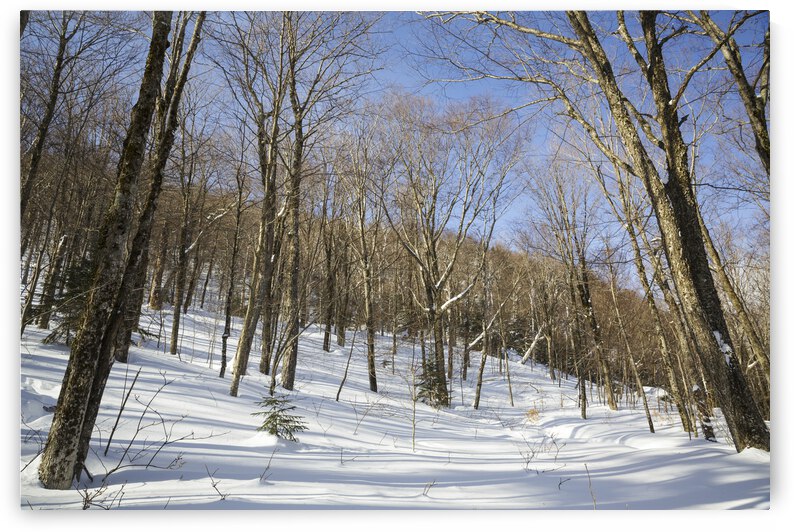 Kinsman Notch - North Woodstock New Hampshire by ScenicNH Photography