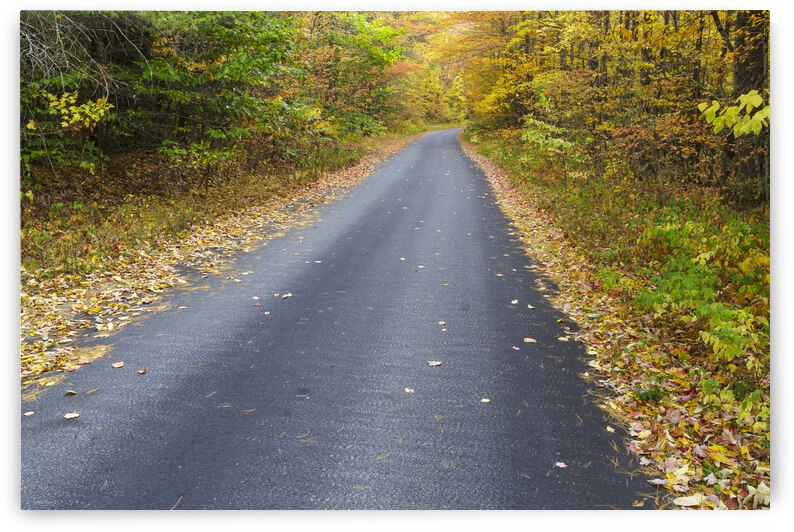 Tunnel Brook Road - Easton New Hampshire by ScenicNH Photography