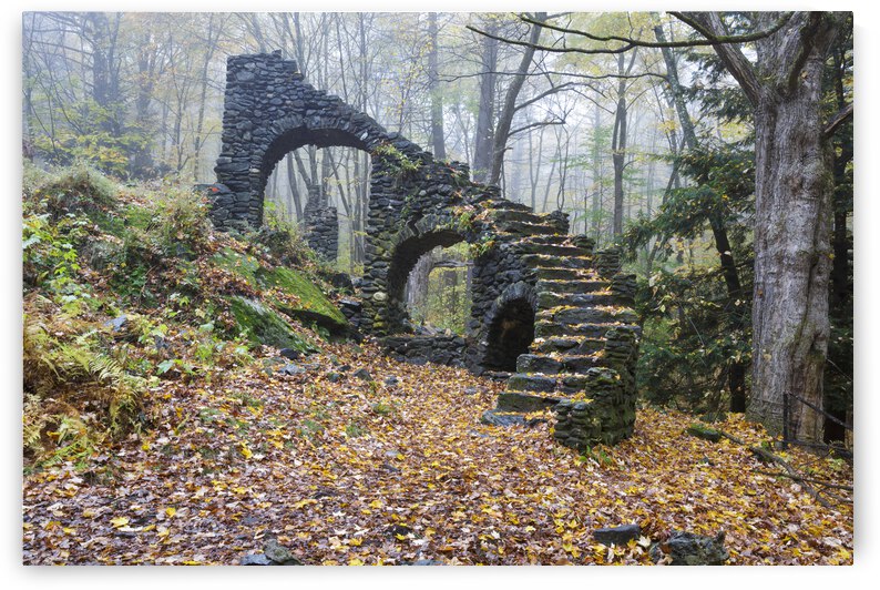 Madame Sherri Forest - Chesterfield New Hampshire by ScenicNH Photography