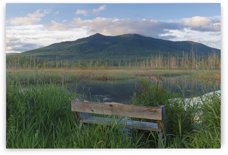 Cherry Mountain - Moorhen Marsh Pondicherry Wildlife Refuge by ScenicNH Photography
