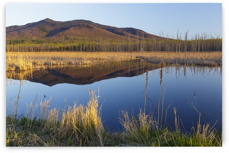 Pondicherry Wildlife Refuge - Jefferson New Hampshire by ScenicNH Photography