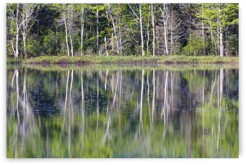 Elbow Pond - North Woodstock New Hampshire by ScenicNH Photography